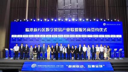 對接DEPA關(guān)系協(xié)定，推動數(shù)字經(jīng)濟(jì)開放發(fā)展——“數(shù)貿(mào)聯(lián)動，互惠全球”跨境數(shù)字貿(mào)易全球伙伴會議在臨港成功舉辦